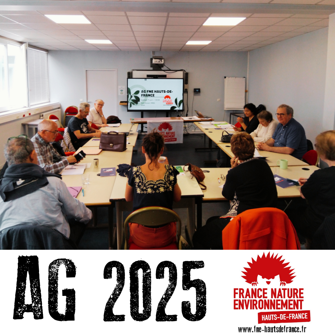 ag 2025
