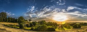 FNE Hauts de France