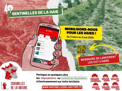 Lancement de la campagne Sentinelles de la Haie 2026